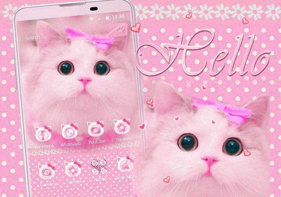 Detail Wallpaper Kucing Pink Nomer 20