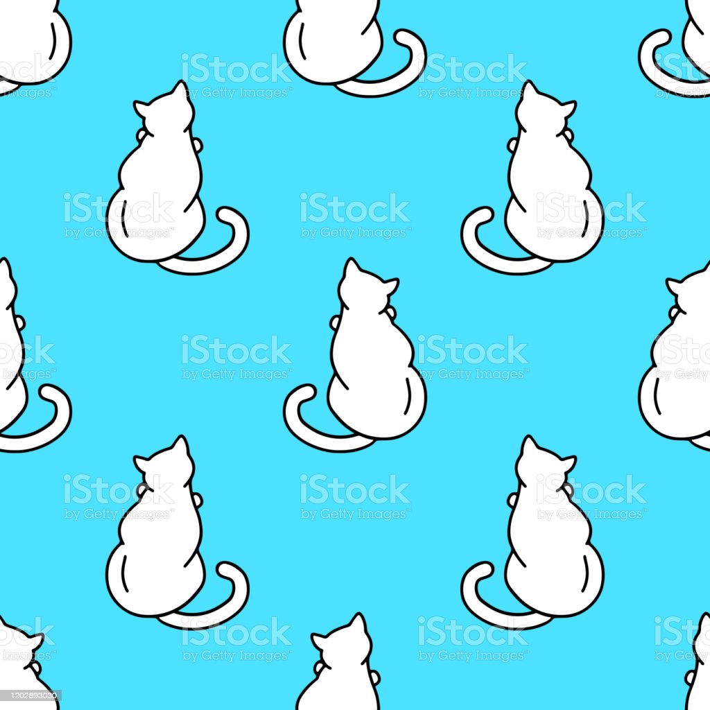 Detail Wallpaper Kucing Putih Lucu Nomer 55