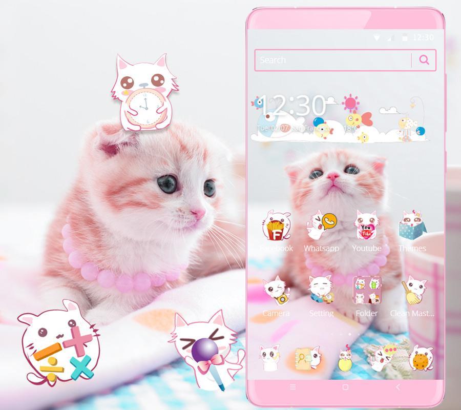 Detail Wallpaper Kucing Putih Lucu Untuk Hp Nomer 27