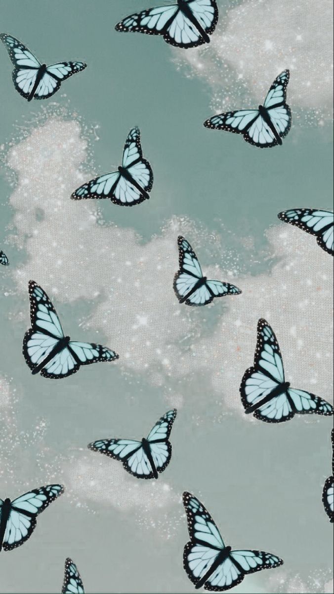 Wallpaper Kupu Kupu Aesthetic - 58+ Koleksi Gambar