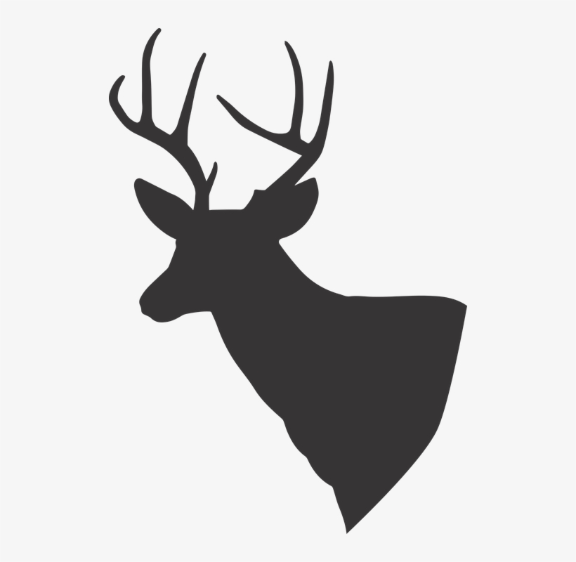 Rusa Vector - KibrisPDR