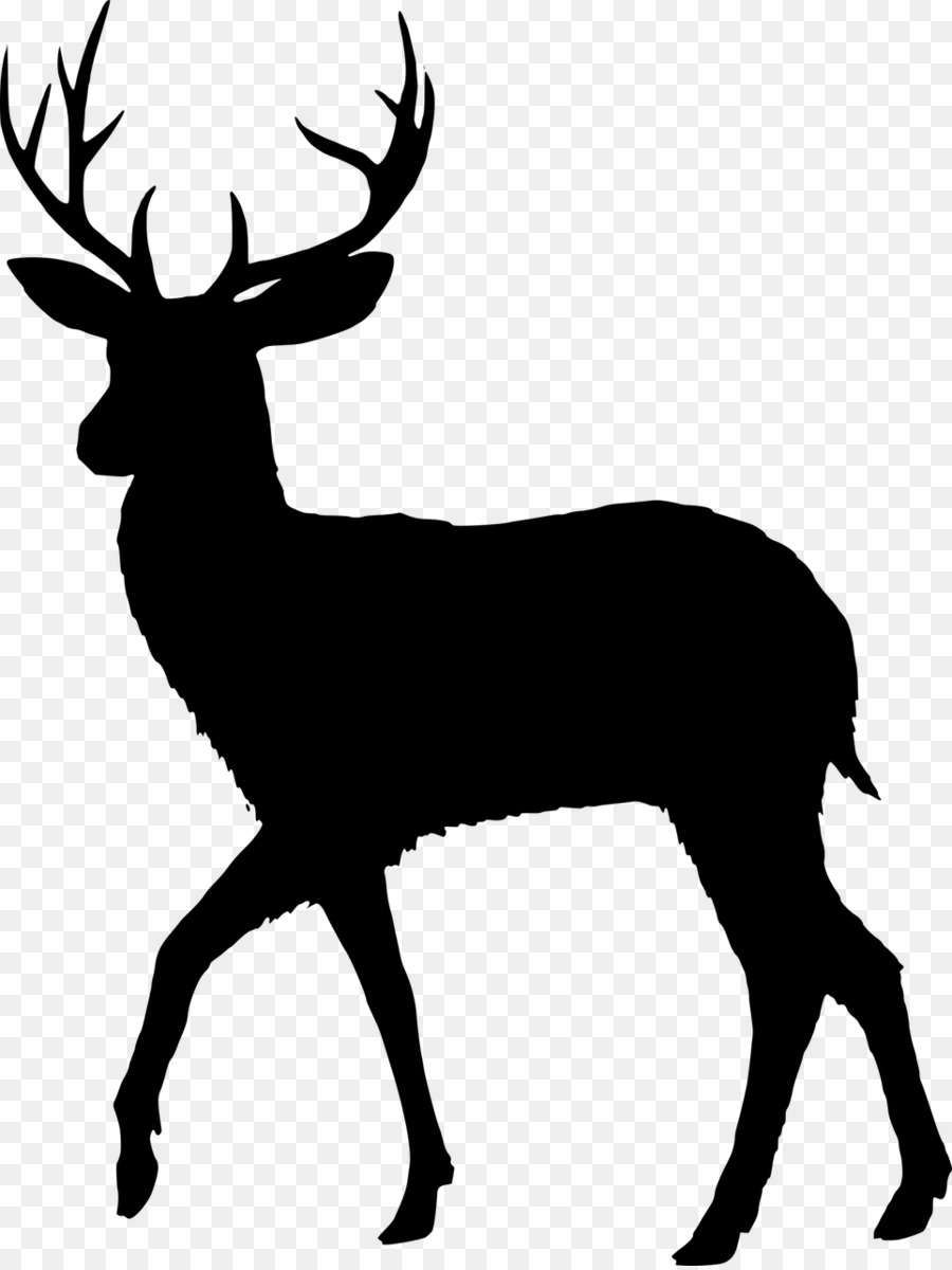 Detail Rusa Vector Nomer 19