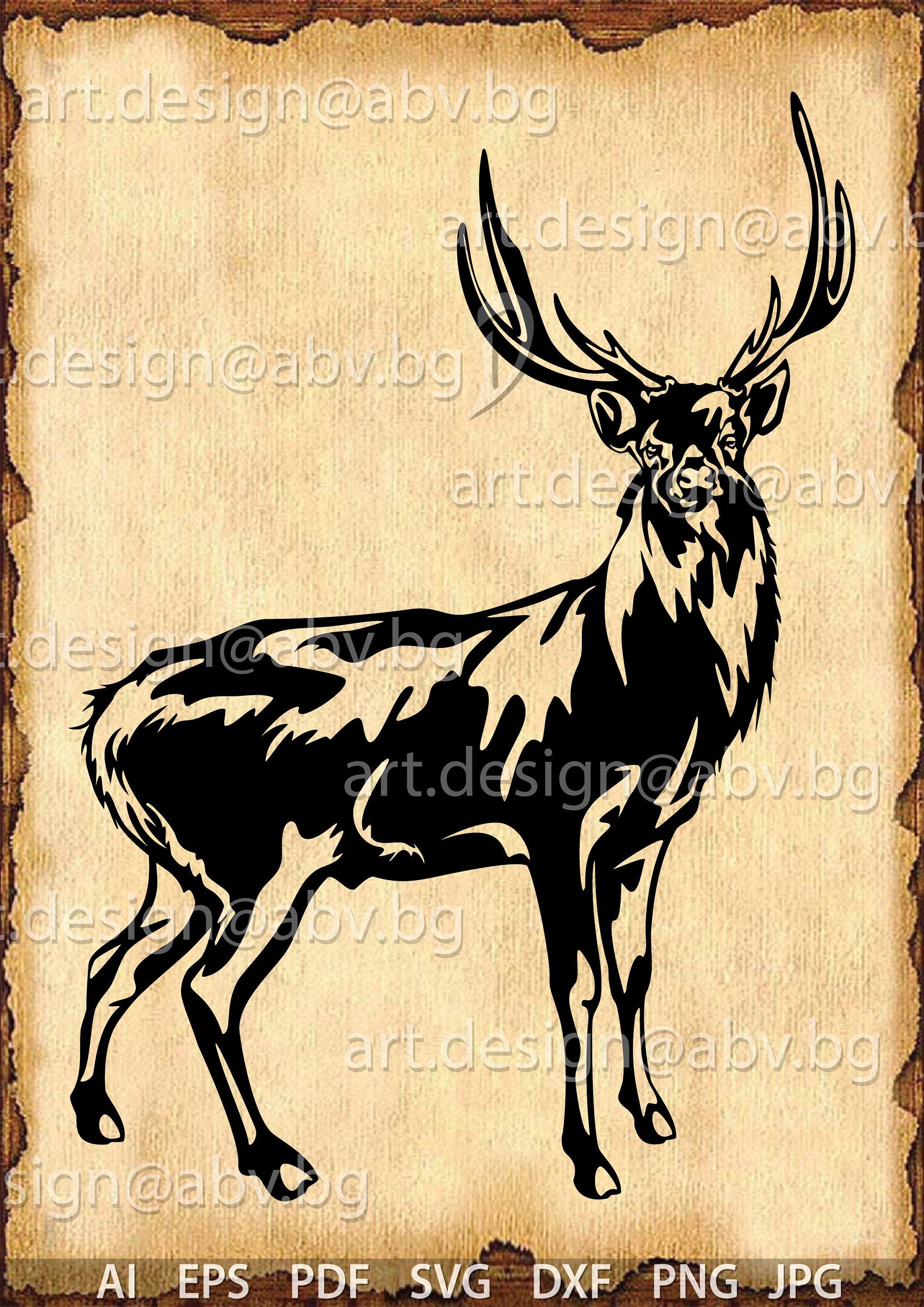 Detail Rusa Vector Nomer 23
