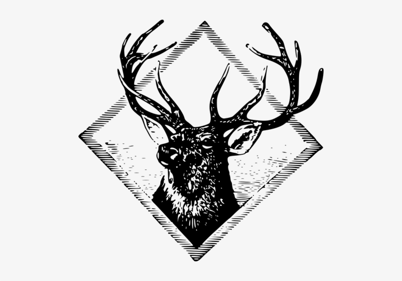 Detail Rusa Vector Nomer 10