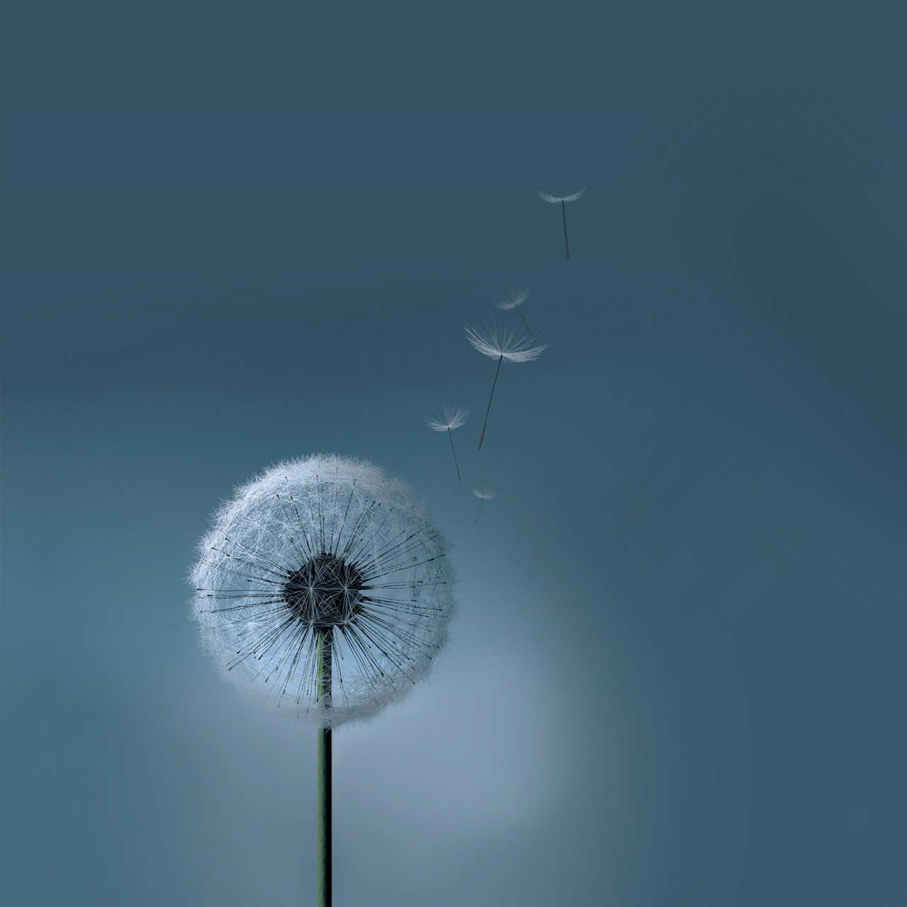 Detail S3 Wallpaper Nomer 3