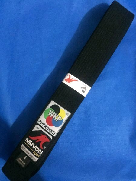 Detail Sabuk Hitam Karate Nomer 17