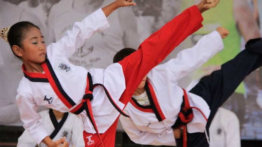 Detail Sabuk Merah Taekwondo Nomer 13