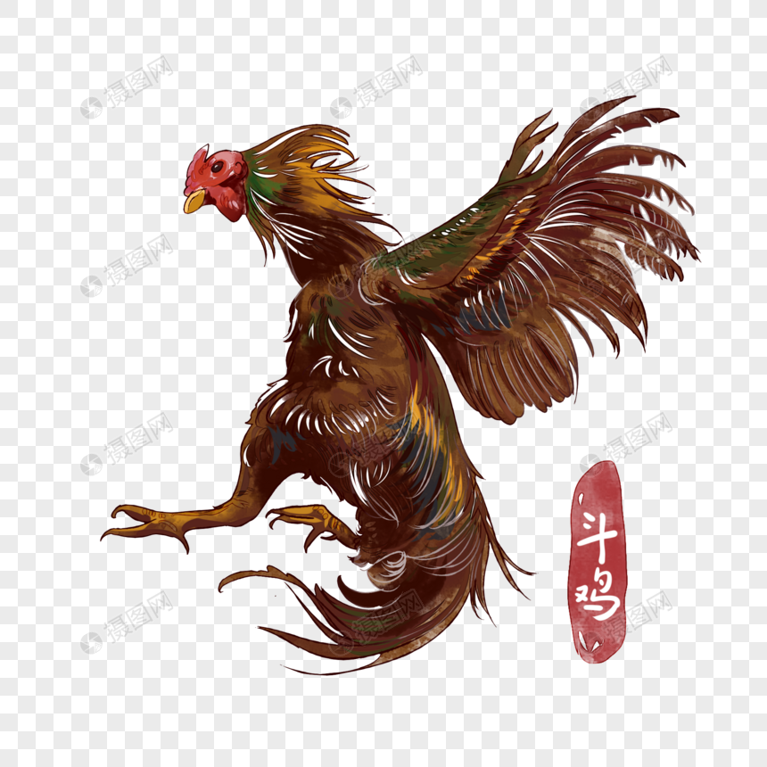 Detail Sabung Ayam Png Nomer 13