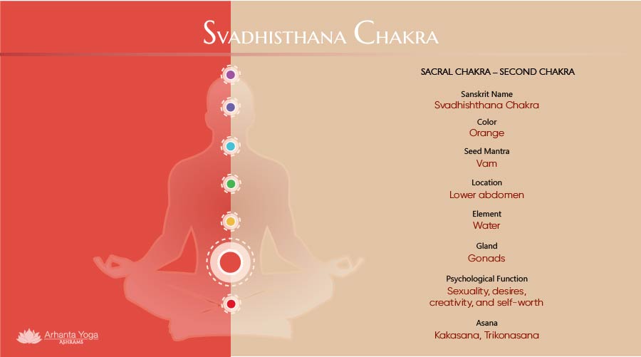 Detail Sacral Chakra Image Nomer 42