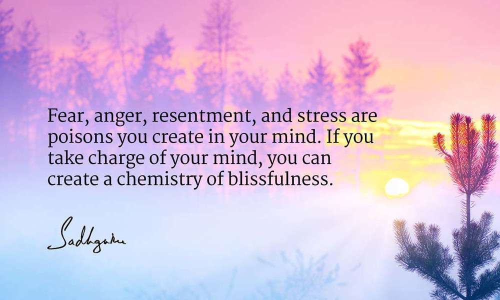 Detail Sadhguru Quotes On Mind Nomer 4