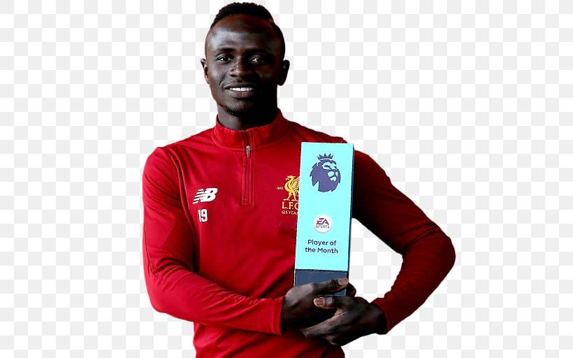 Detail Sadio Mane Fifa 17 Nomer 26