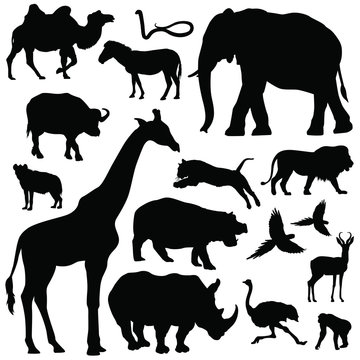 Detail Safari Animal Silhouette Clip Art Nomer 24
