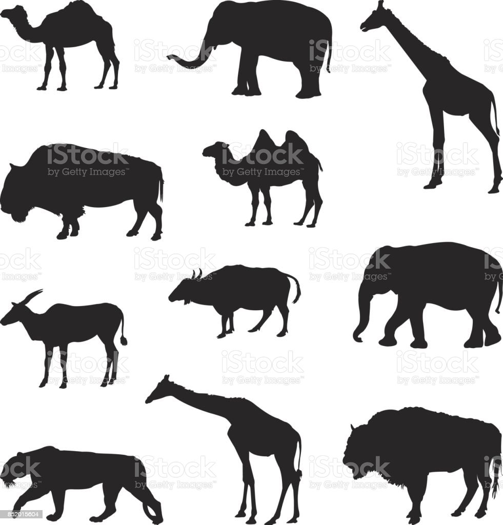 Detail Safari Animal Silhouette Clip Art Nomer 41