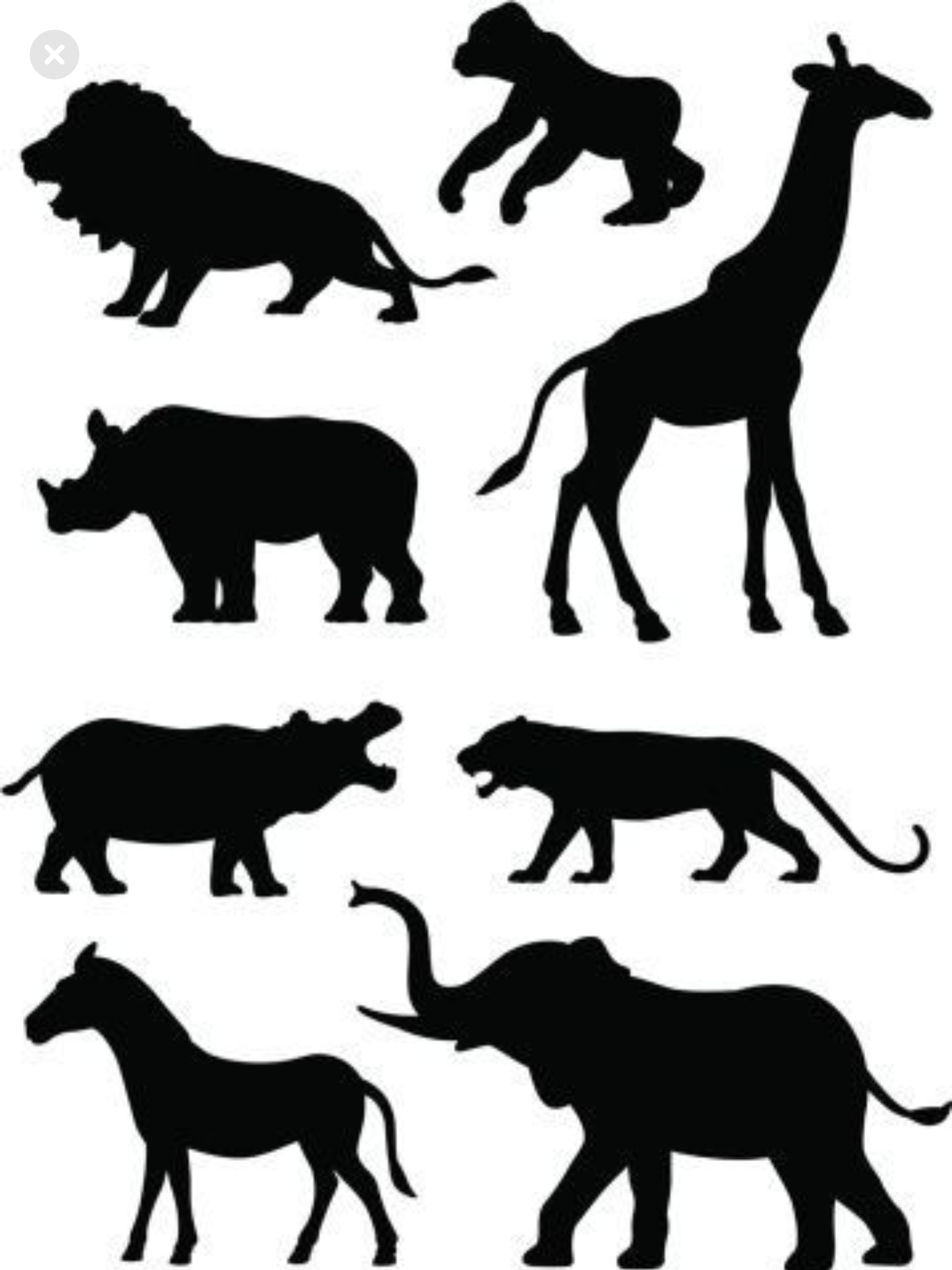 Detail Safari Animal Silhouette Clip Art Nomer 52