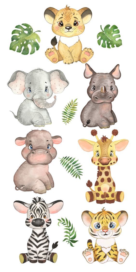 Detail Safari Baby Animals Clipart Nomer 2