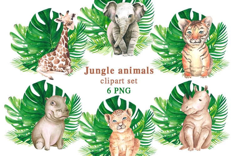 Detail Safari Baby Animals Clipart Nomer 28