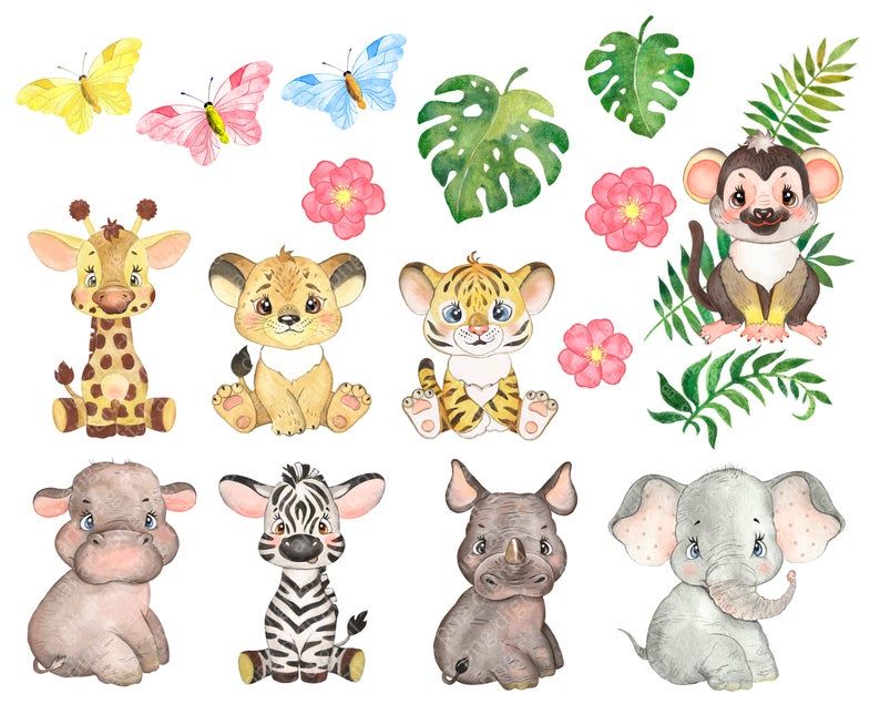 Detail Safari Baby Animals Clipart Nomer 32