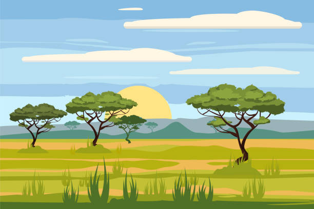 Safari Background Clipart - KibrisPDR