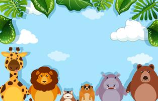 Detail Safari Background Clipart Nomer 17