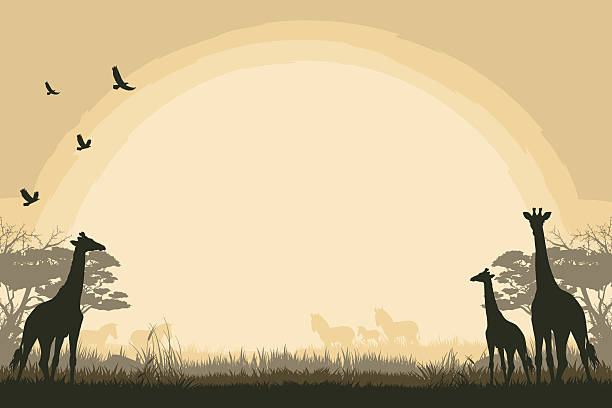 Detail Safari Background Clipart Nomer 19