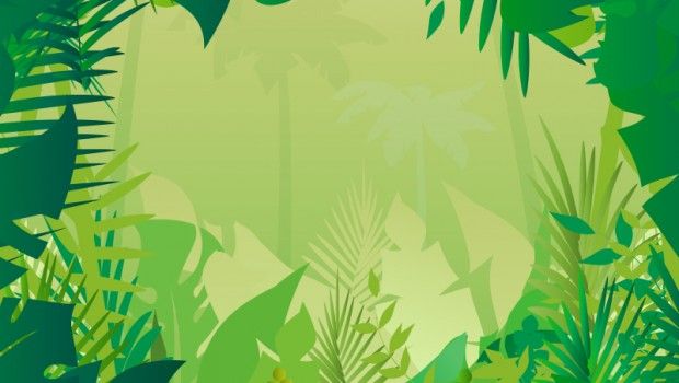 Detail Safari Background Clipart Nomer 7