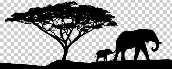 Detail Safari Clipart Black And White Nomer 9