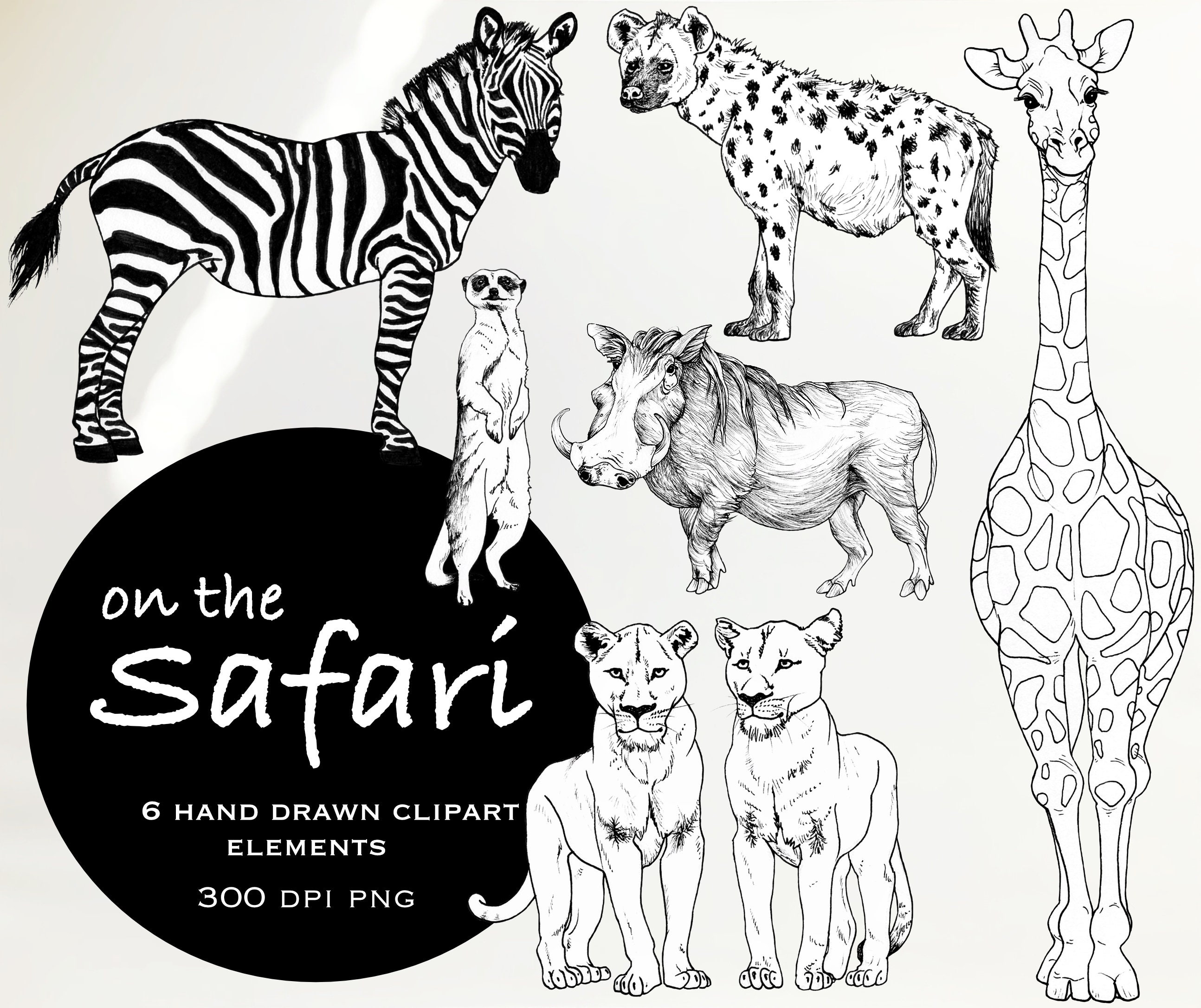 Detail Safari Clipart Black And White Nomer 12