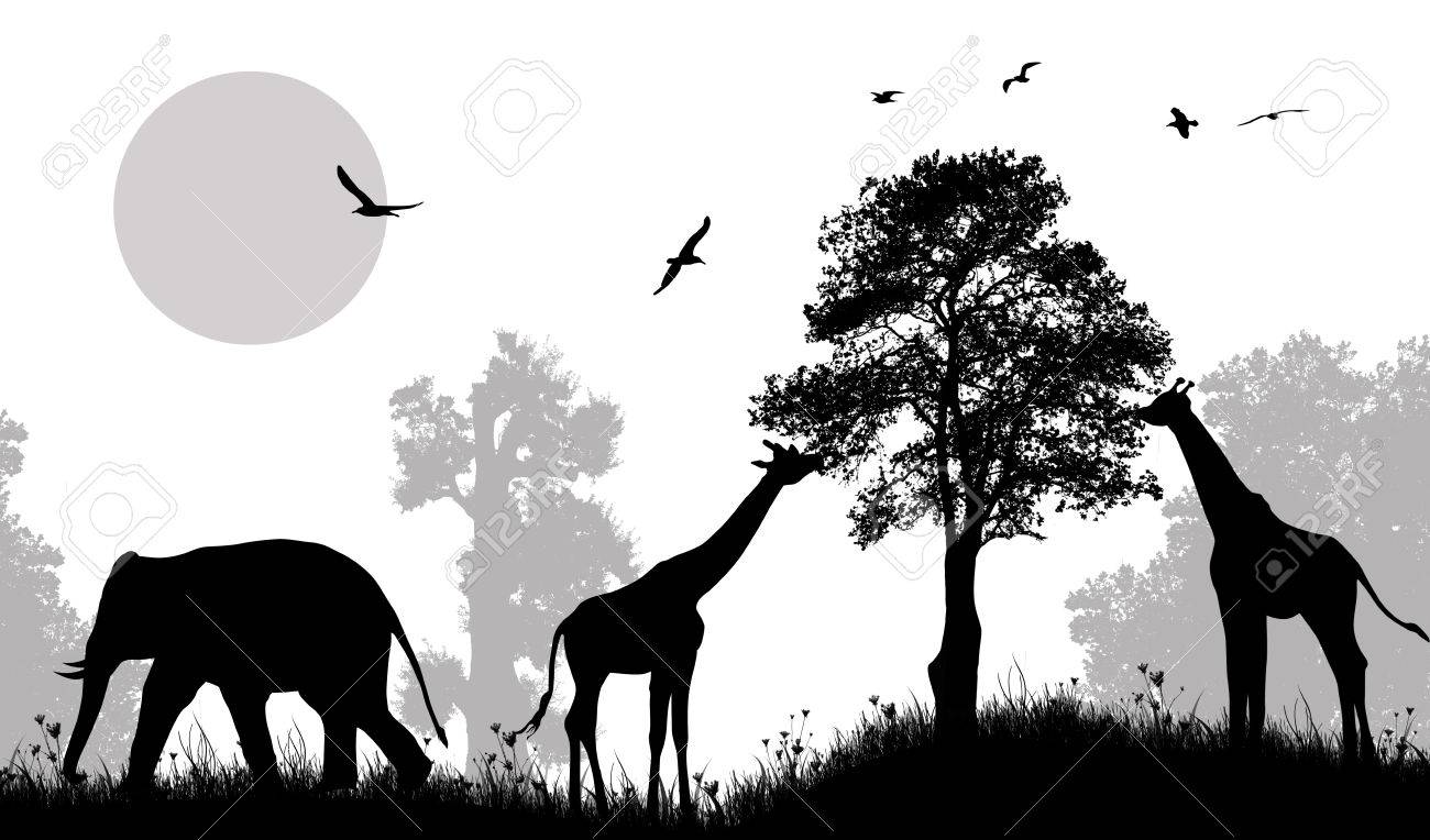 Detail Safari Clipart Black And White Nomer 25