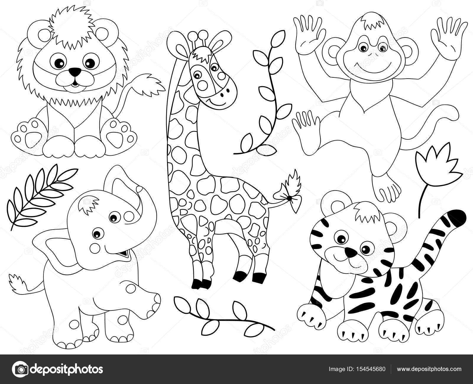 Detail Safari Clipart Black And White Nomer 35