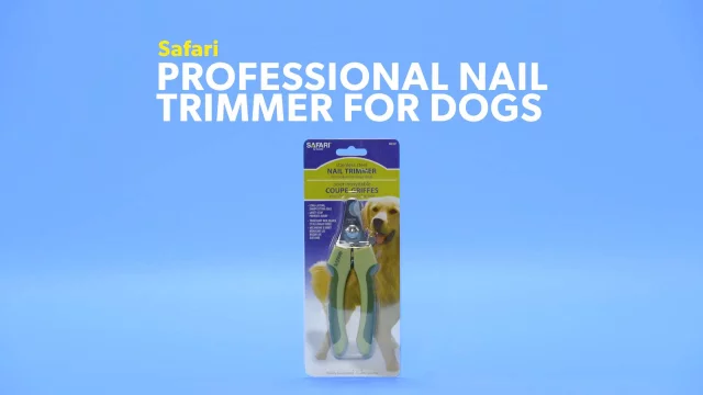 Detail Safari Diamond Dog Nail File Nomer 19