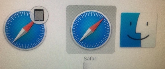 Detail Safari Icon Nomer 25