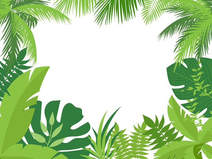 Detail Safari Leaves Wallpaper Nomer 12