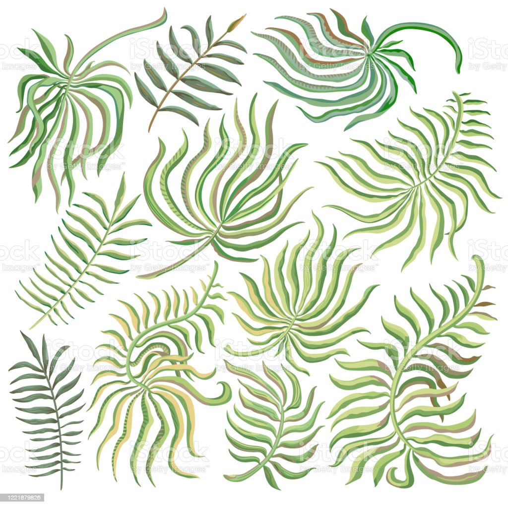 Detail Safari Leaves Wallpaper Nomer 33