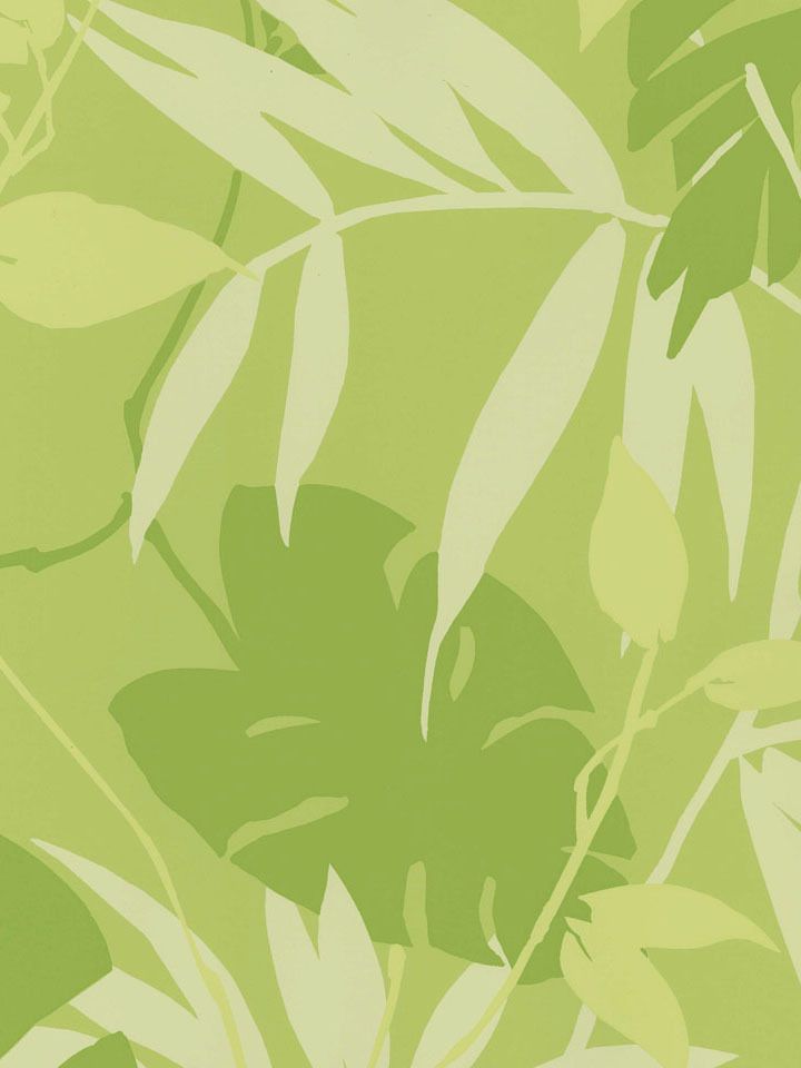 Detail Safari Leaves Wallpaper Nomer 43