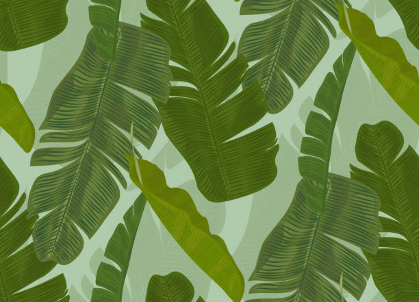 Detail Safari Leaves Wallpaper Nomer 52