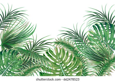 Detail Safari Leaves Wallpaper Nomer 7