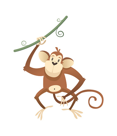 Detail Safari Monkey Clipart Nomer 50