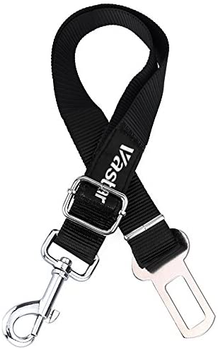 Detail Safety Belt Png Nomer 22