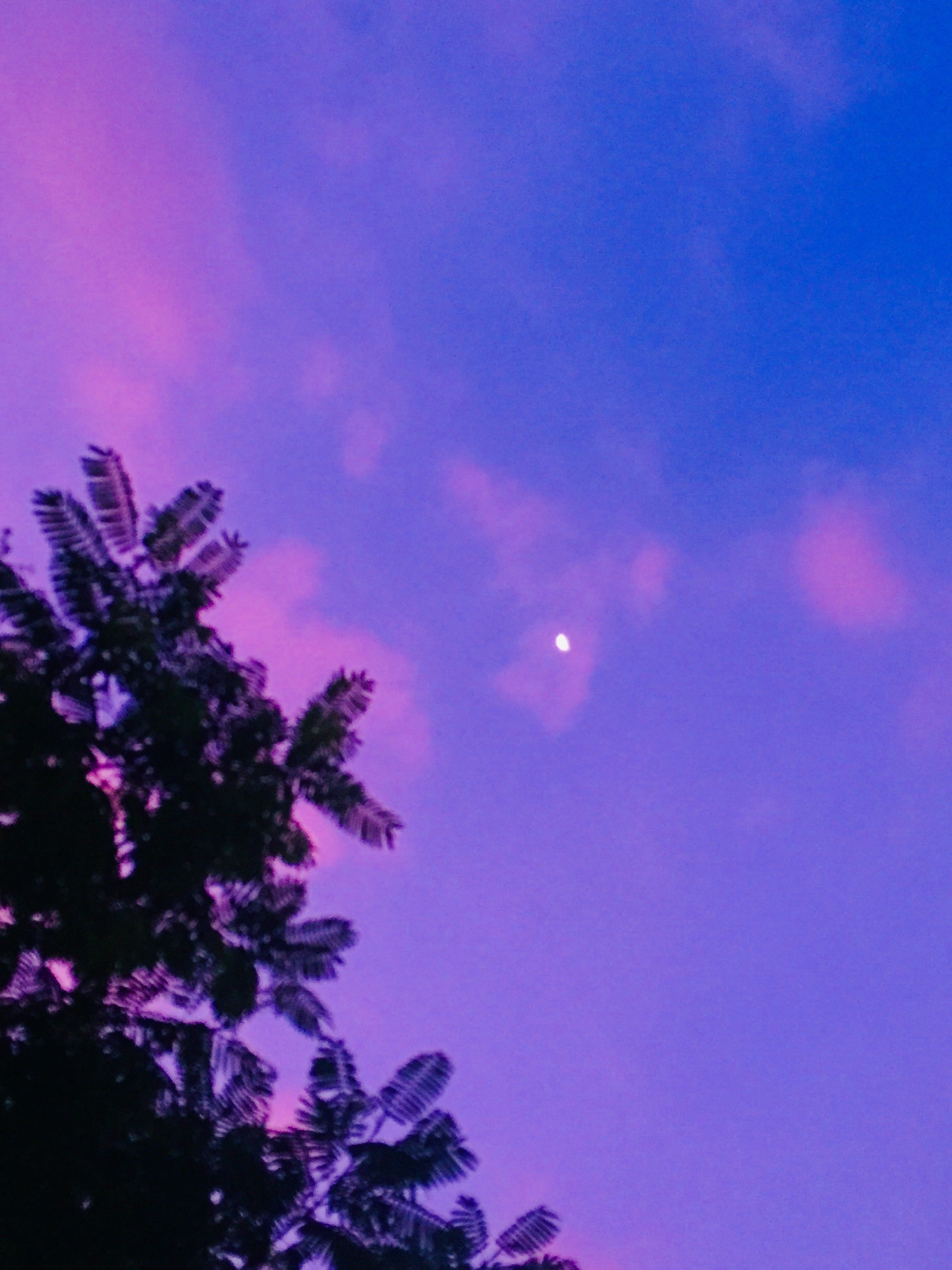 Detail Wallpaper Langit Ungu Nomer 2