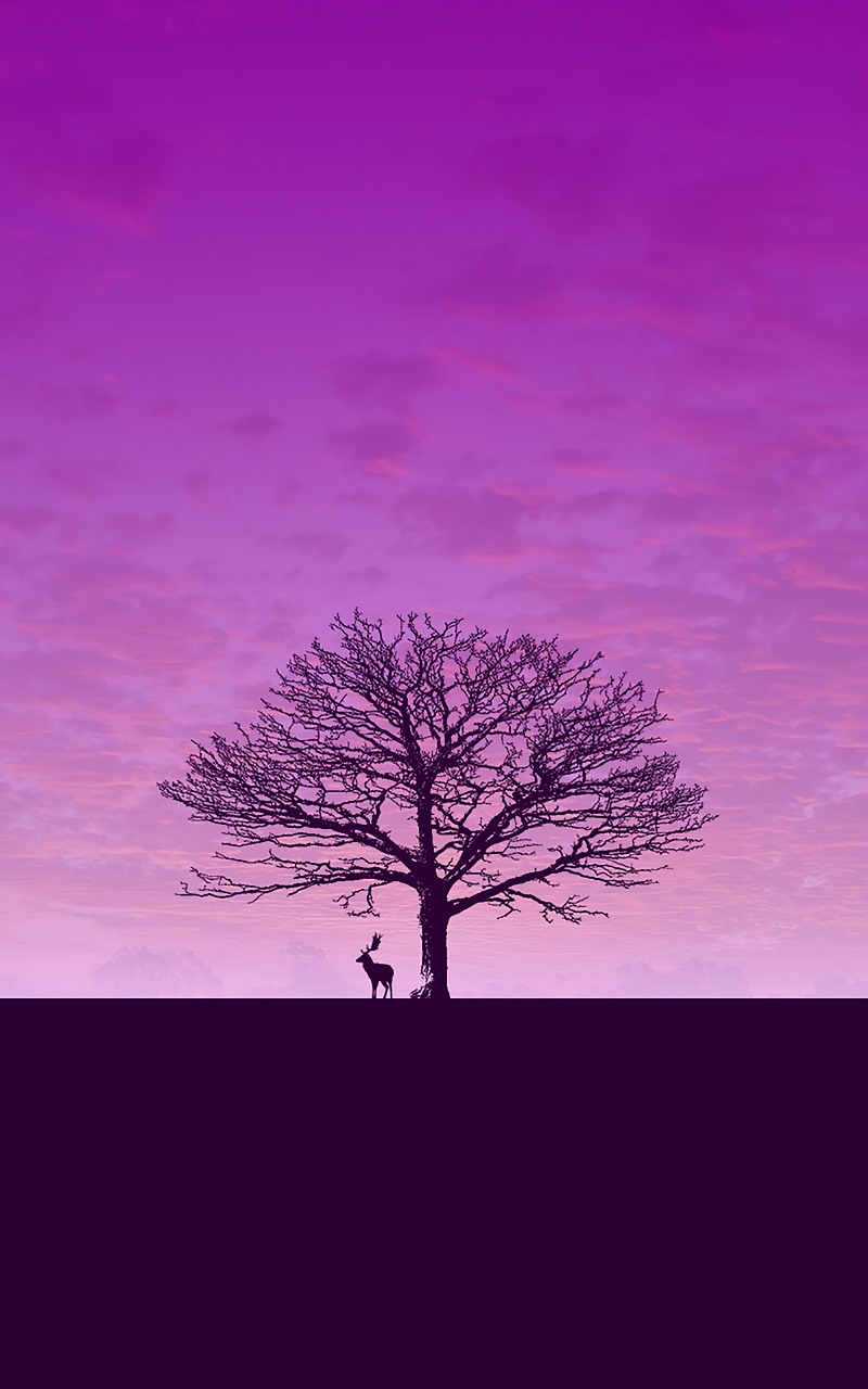 Detail Wallpaper Langit Ungu Nomer 6