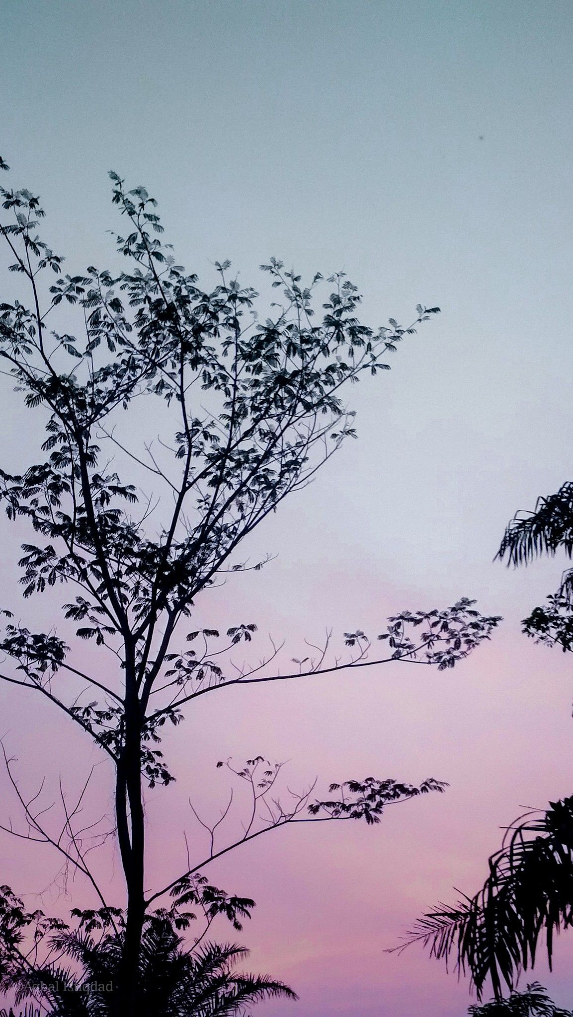 Detail Wallpaper Langit Ungu Nomer 51