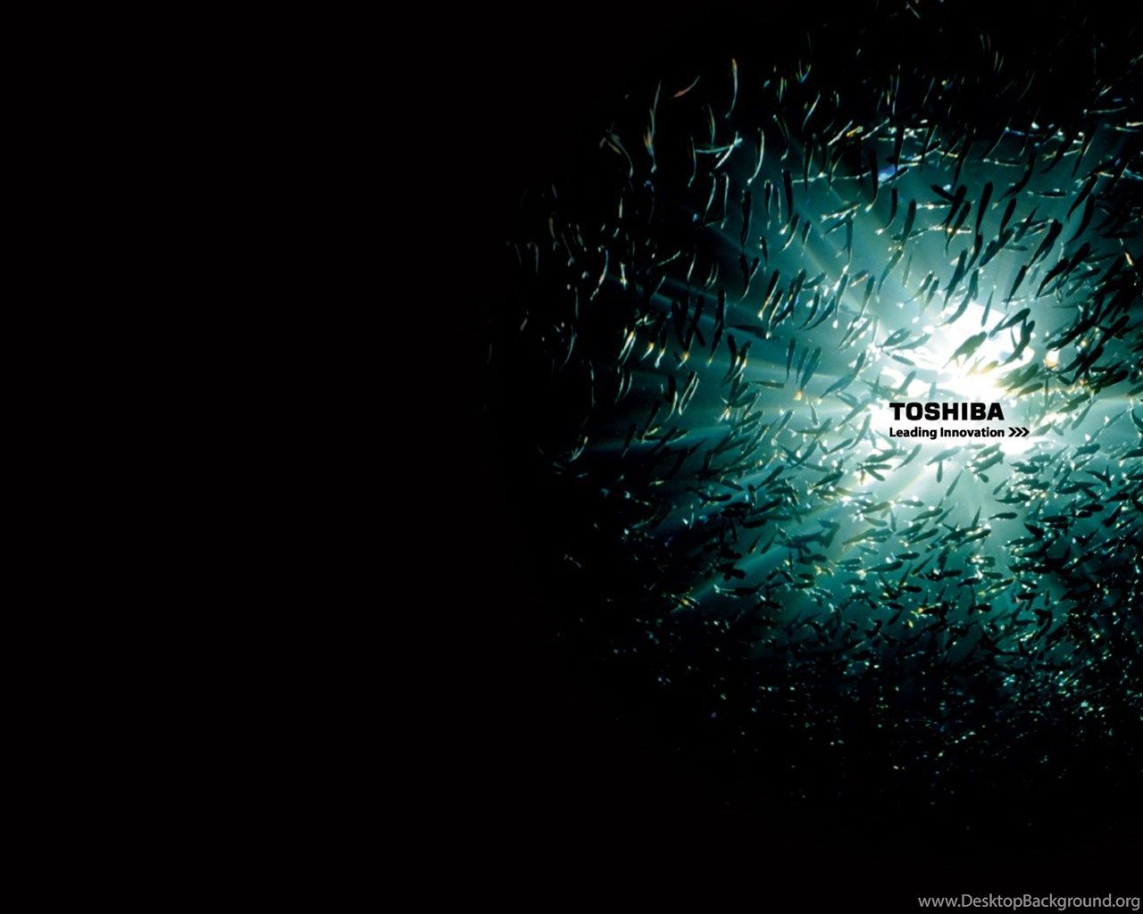 Detail Wallpaper Laptop Toshiba Nomer 18