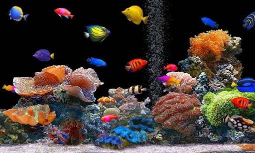 Detail Wallpaper Live Aquarium Nomer 35