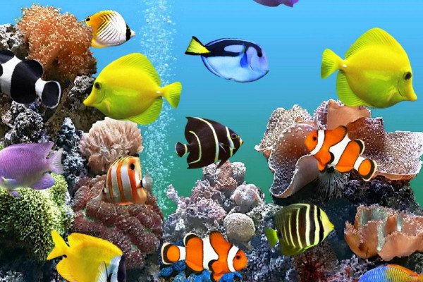 Detail Wallpaper Live Aquarium Nomer 42