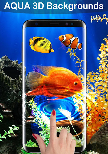 Detail Wallpaper Live Fish Nomer 34