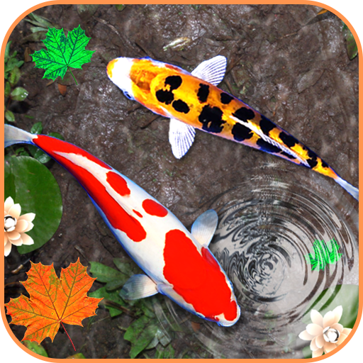 Detail Wallpaper Live Ikan Koi Nomer 23