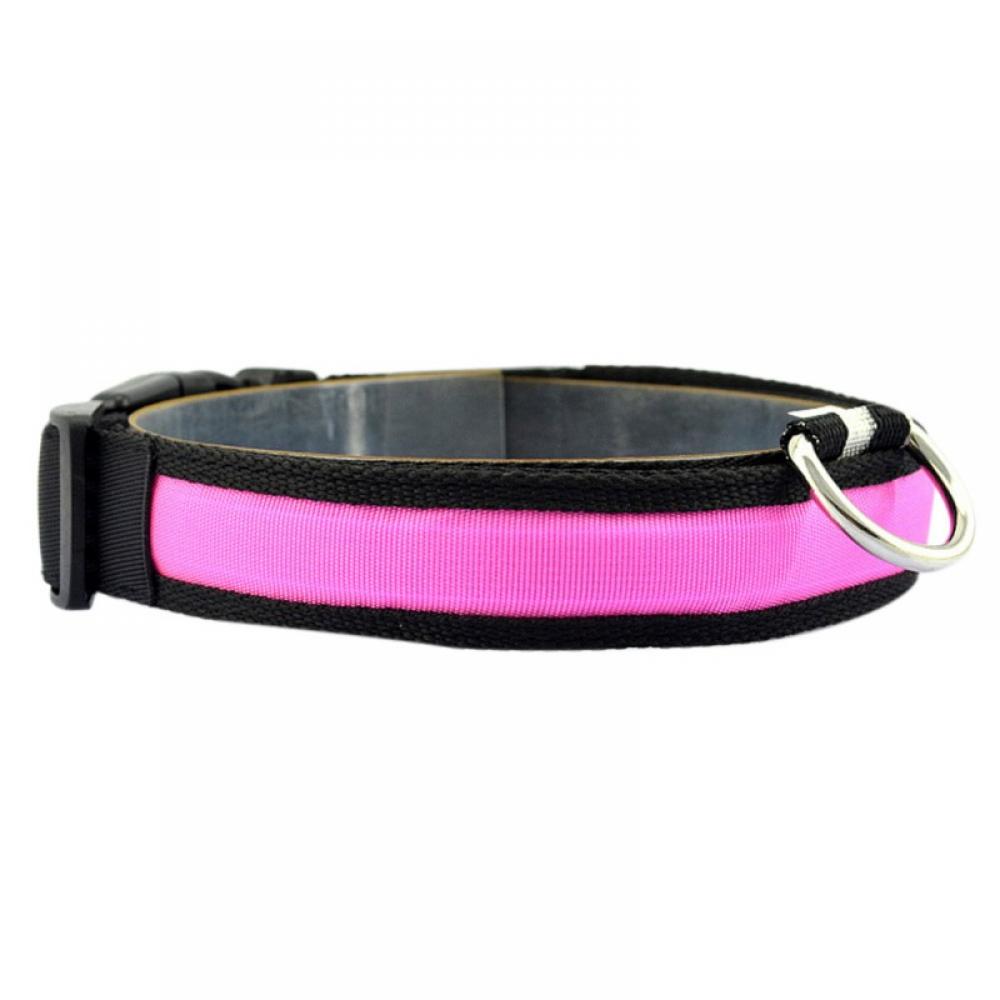 Detail Safety Stretch Dog Collars Nomer 13