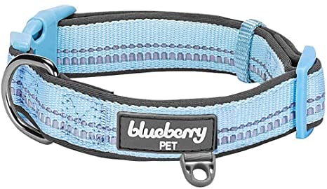 Detail Safety Stretch Dog Collars Nomer 4