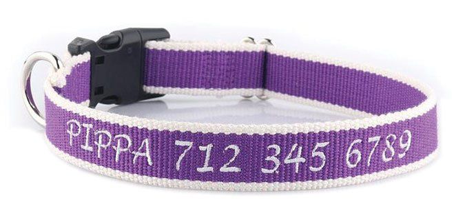 Detail Safety Stretch Dog Collars Nomer 7