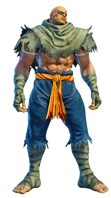 Detail Sagat Street Fighter Png Nomer 25